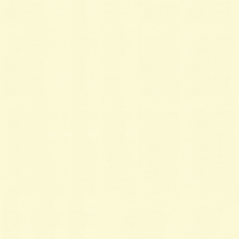 Filme de transferência frio do ANIMAL DE ESTIMAÇÃO branco da decoração da parede do quarto do marfim